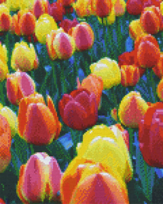 Colourful Tulips Nine [9] Baseplates PixelHobby Mini- mosaic Art Kit